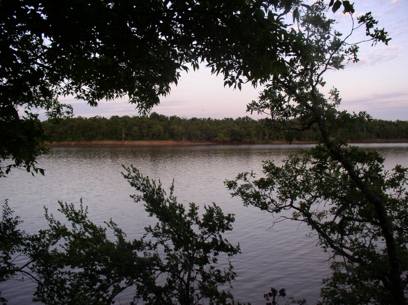View across shore
