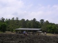 Gathering more dirt to wash