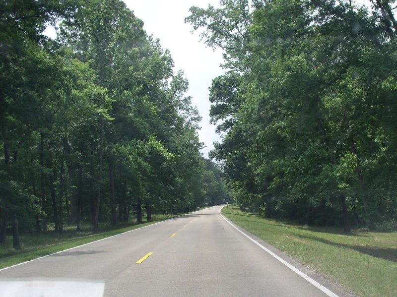 Driving the Trace