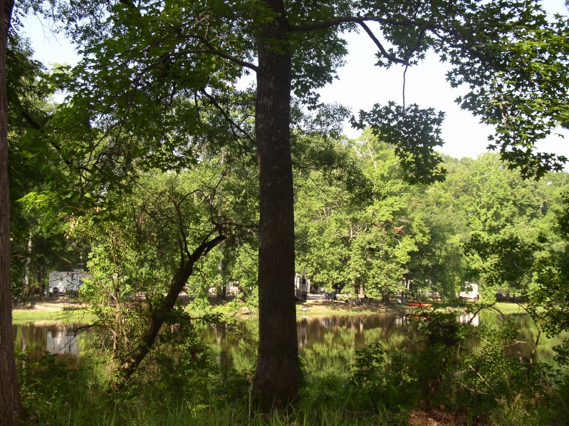 Loess Bluff Campsite
