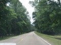 Driving the Trace