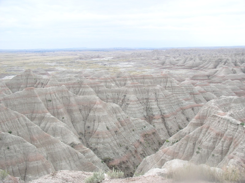 Really Badlands