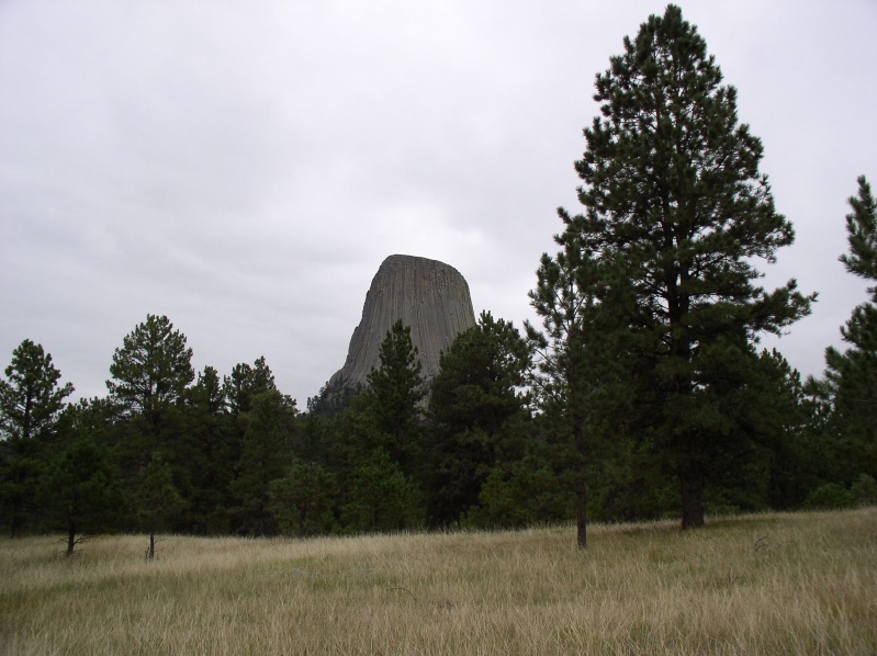 Joyner Ridge trail 1