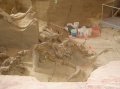 Buckets of dirt