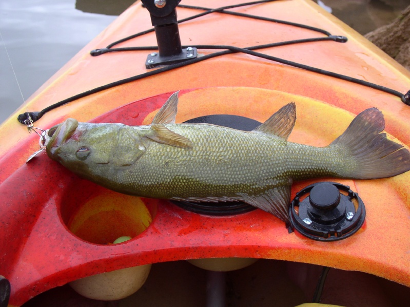 Fish across Kayak