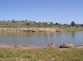 Sumner Lake Kayak Launch