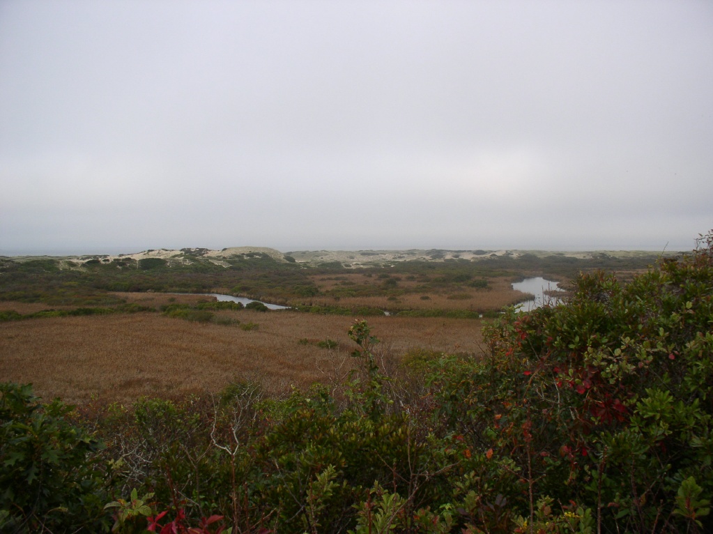 More of Dune Area