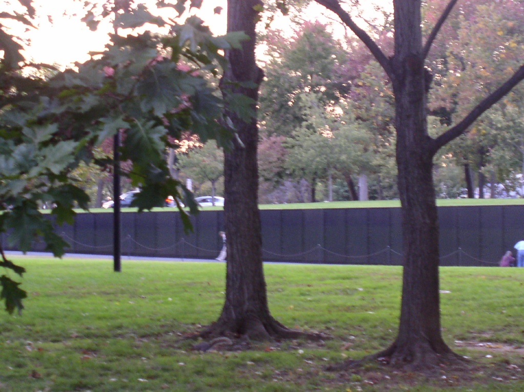 Vietnam Wall